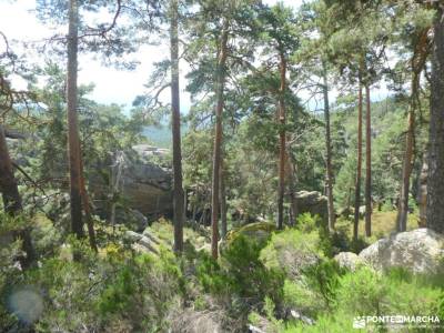Sierras de Neila y Urbión;valle de núria pirineos navarra parque nacional covadonga cinturon para la